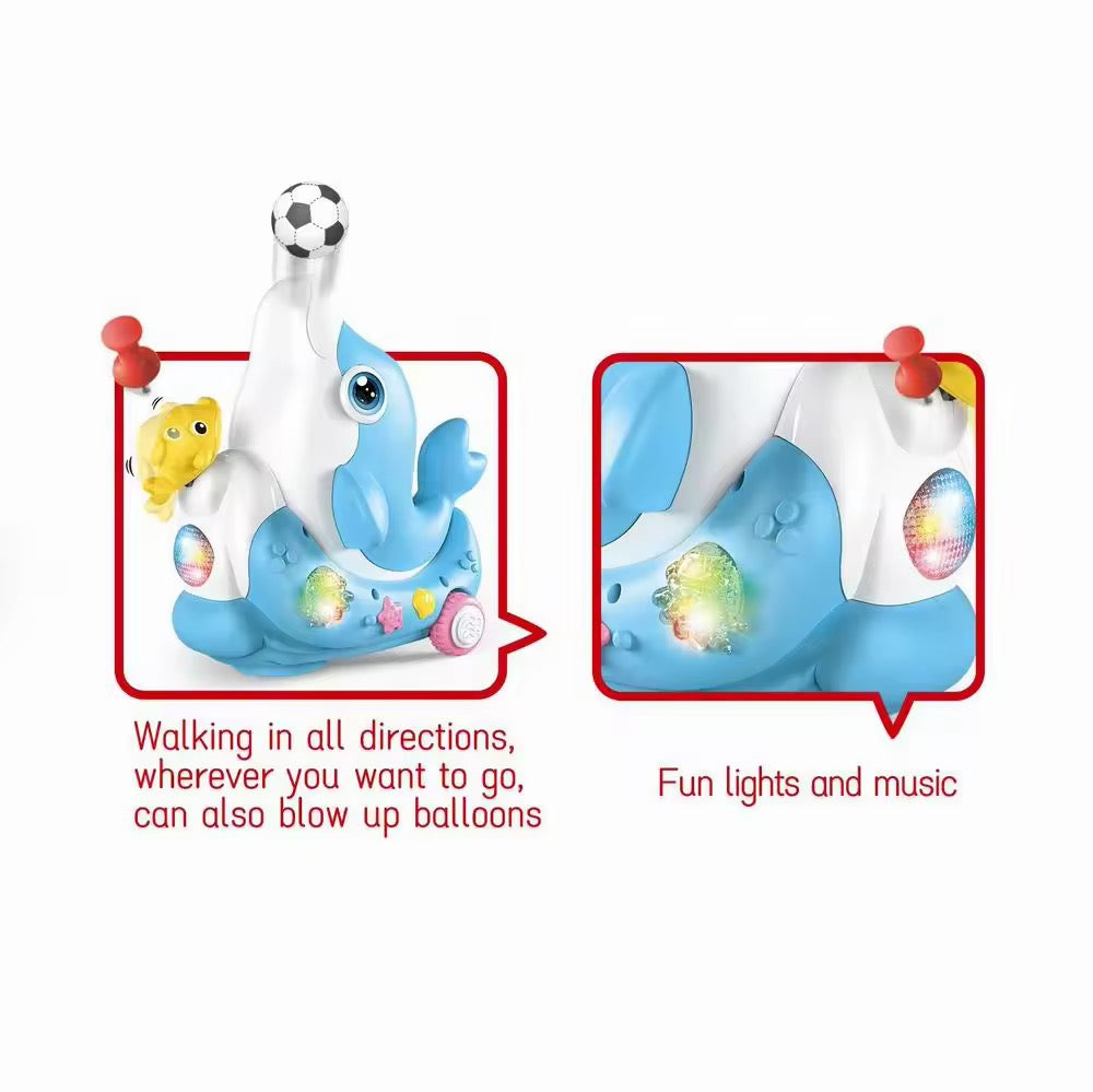 Dolphin Musical Toy with Mini Footballs