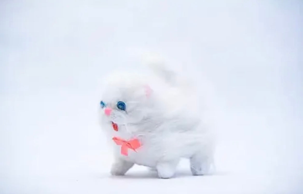 Hello Cat Toy – Lights, Walks & Sits